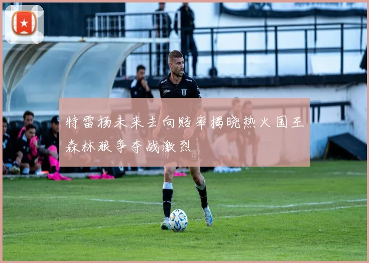 特雷杨未来去向赔率揭晓热火国王森林狼争夺战激烈