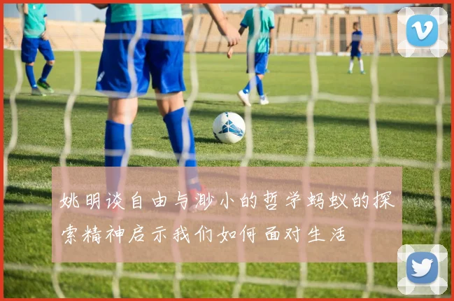 姚明谈自由与渺小的哲学蚂蚁的探索精神启示我们如何面对生活