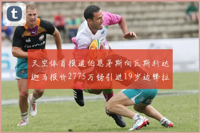 天空体育报道伯恩茅斯向瓦斯科达迦马报价2775万镑引进19岁边锋拉扬