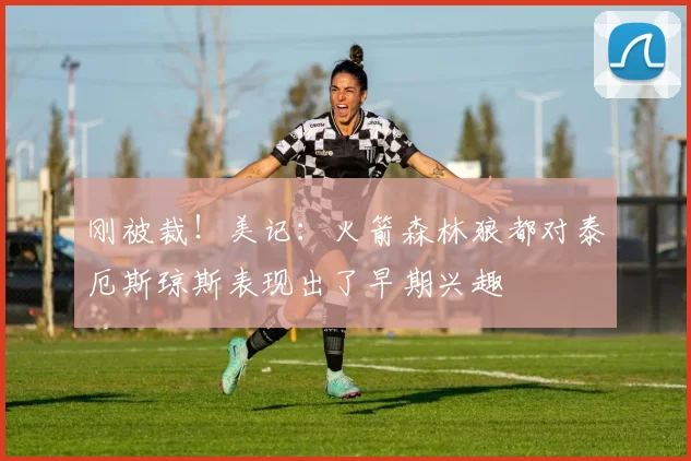 刚被裁！美记：火箭森林狼都对泰厄斯琼斯表现出了早期兴趣